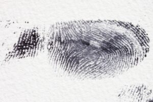 Fingerprint 255897 1280