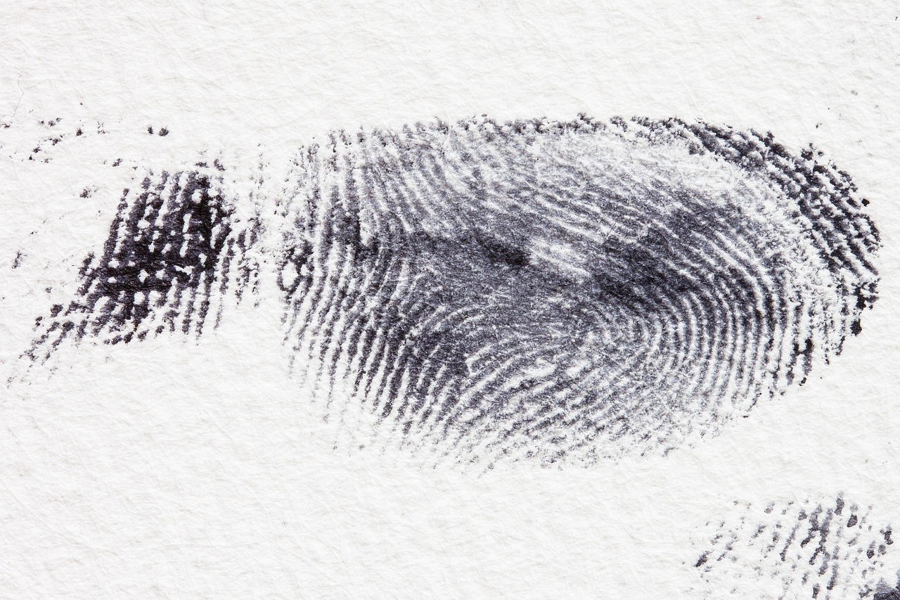 Fingerprint 255897 1280