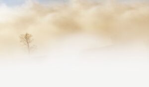Fog